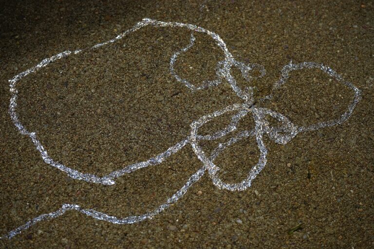 6 steps to deal with snail trails on your carpet Apple Clean