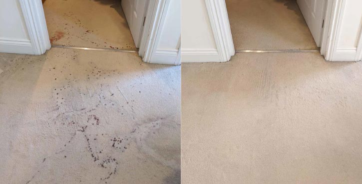 carpet clean before and after