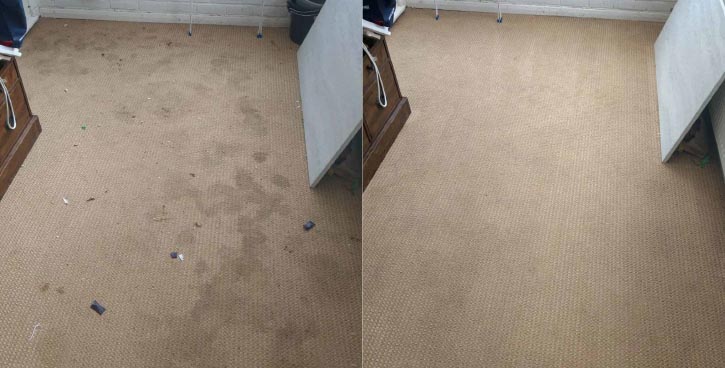 carpet clean before and after