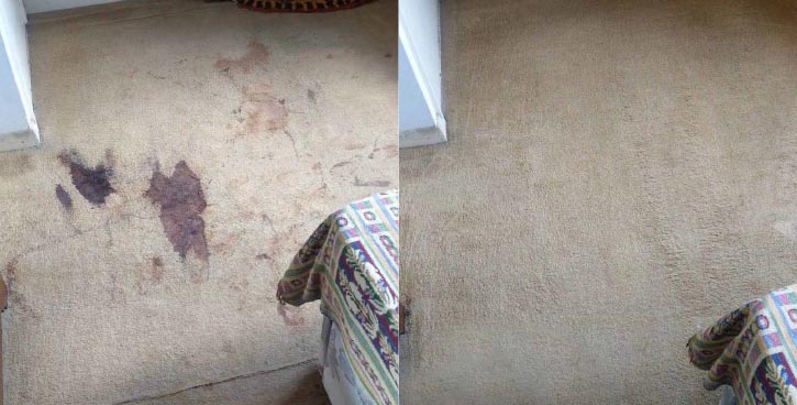 carpet clean before and after