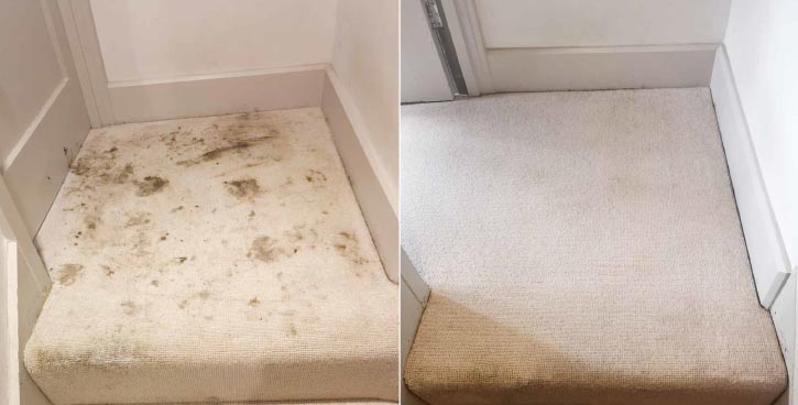 Beige Carpet Before & After