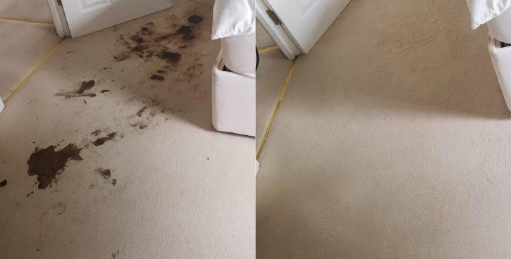 carpet clean before and after