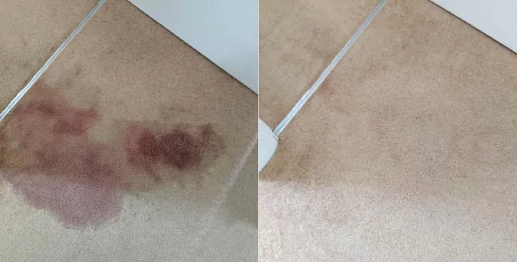 blood carpet clean before and after