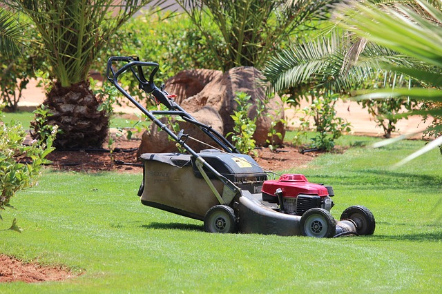 lawn-mower-320799_640