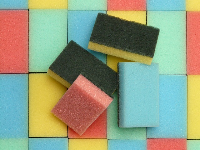 sponge-52113_640